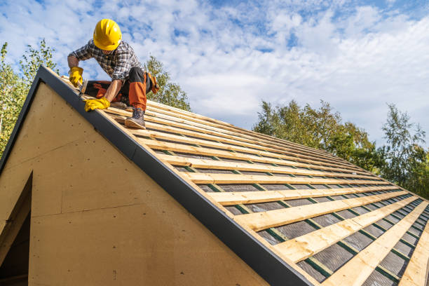 Best Roof Gutter Cleaning  in Centralia, IL