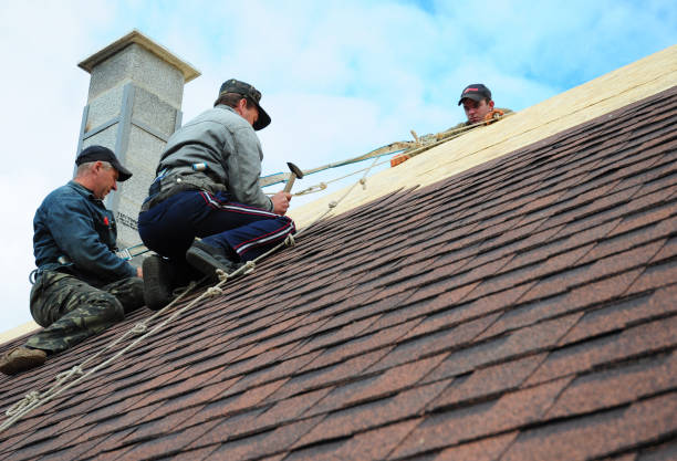 Professional Roofing Contractor in Centralia, IL